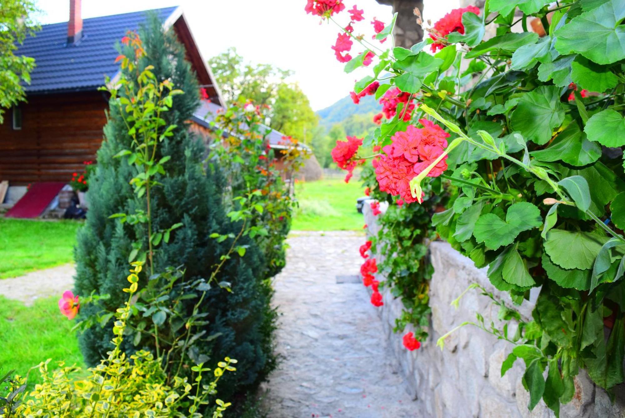 Casa Morar Valea Drăganului Exterior foto